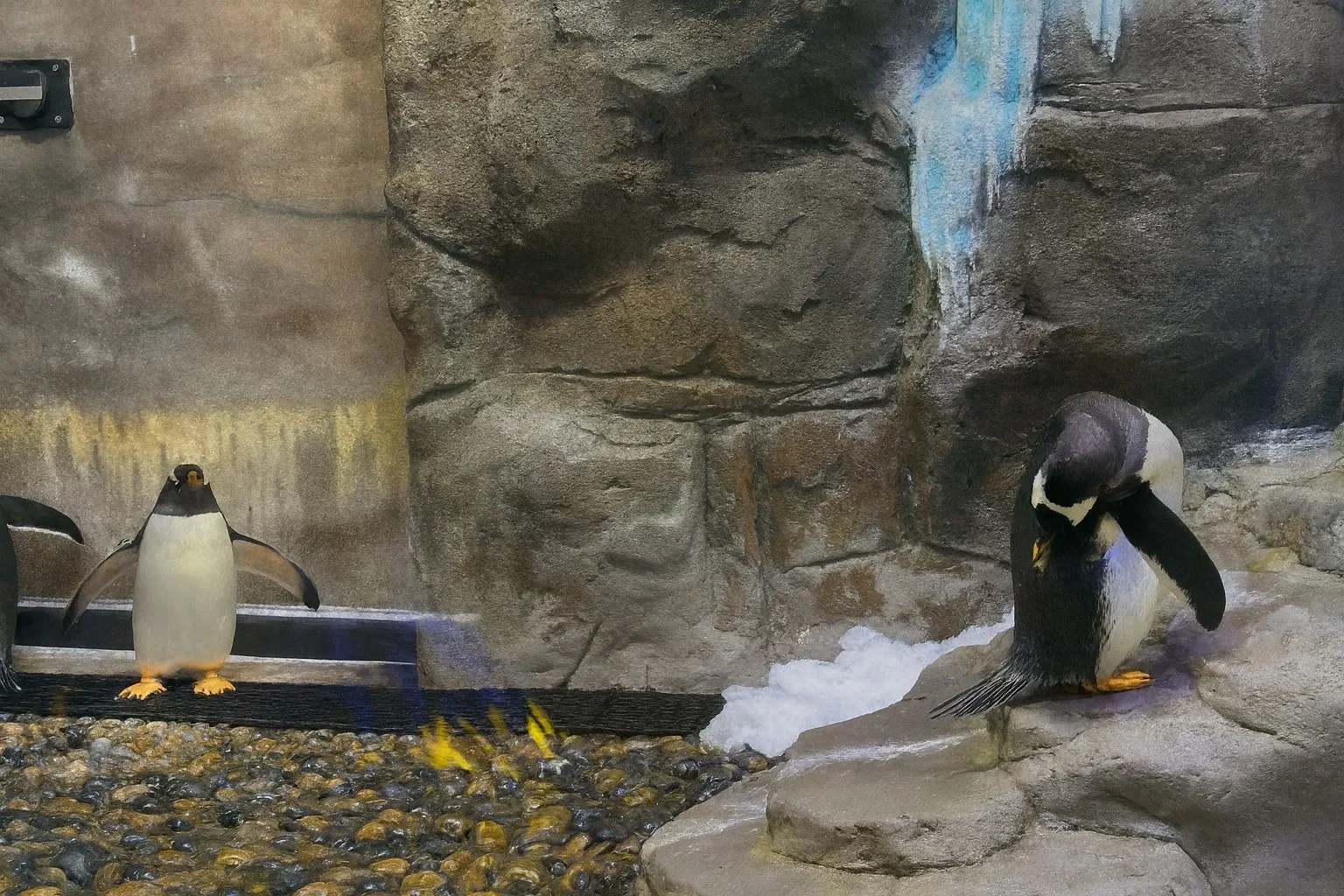 Dubai Akvaryum & Su Altı Hayvanat Bahçesi