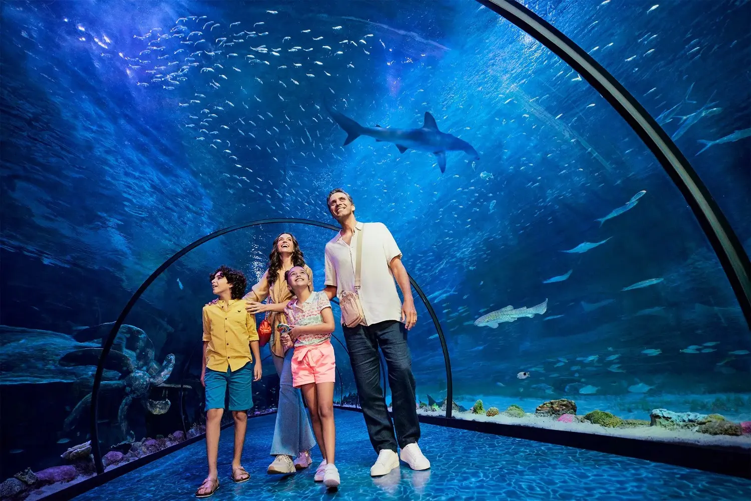 Abu Dhabi İkonik Yerler Turu